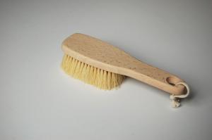 Sauna Brush