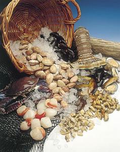 Shellfish Products