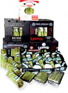 Fresh Asparagus