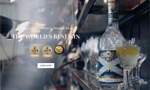 PURITY NORDIC NAVY STRENGTH ORGANIC GIN 57.1%