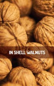 In Shell Walnuts